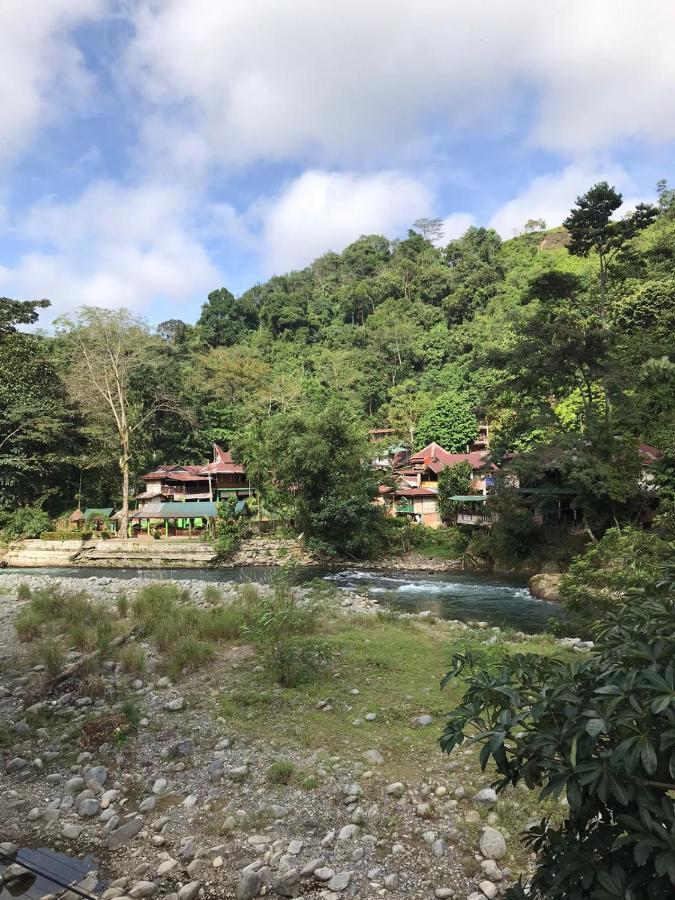 Thomas' Retreat Bukit Lawang Ξενοδοχείο Εξωτερικό φωτογραφία