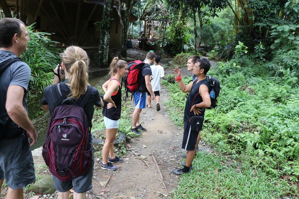Thomas' Retreat Bukit Lawang Ξενοδοχείο Εξωτερικό φωτογραφία