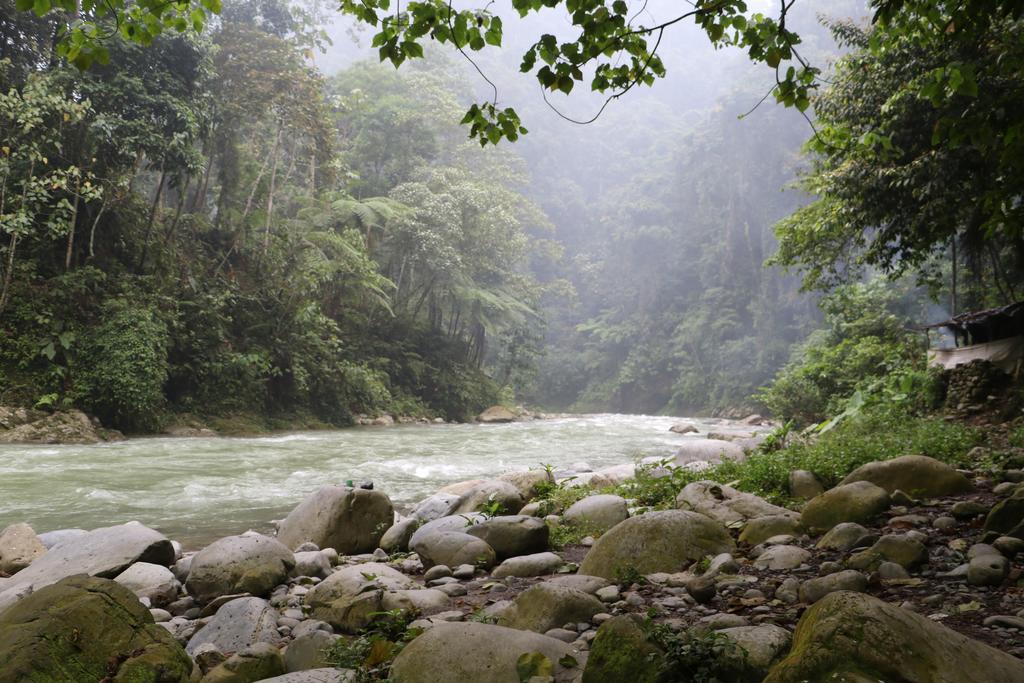 Thomas' Retreat Bukit Lawang Ξενοδοχείο Εξωτερικό φωτογραφία